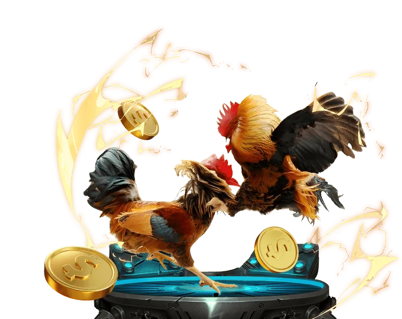 Các loại kèo cược đá gà đa dạng